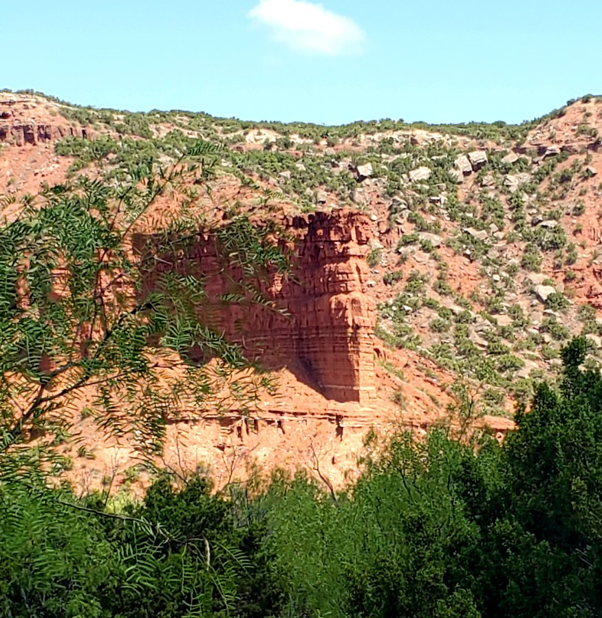 Llamas who wander…..