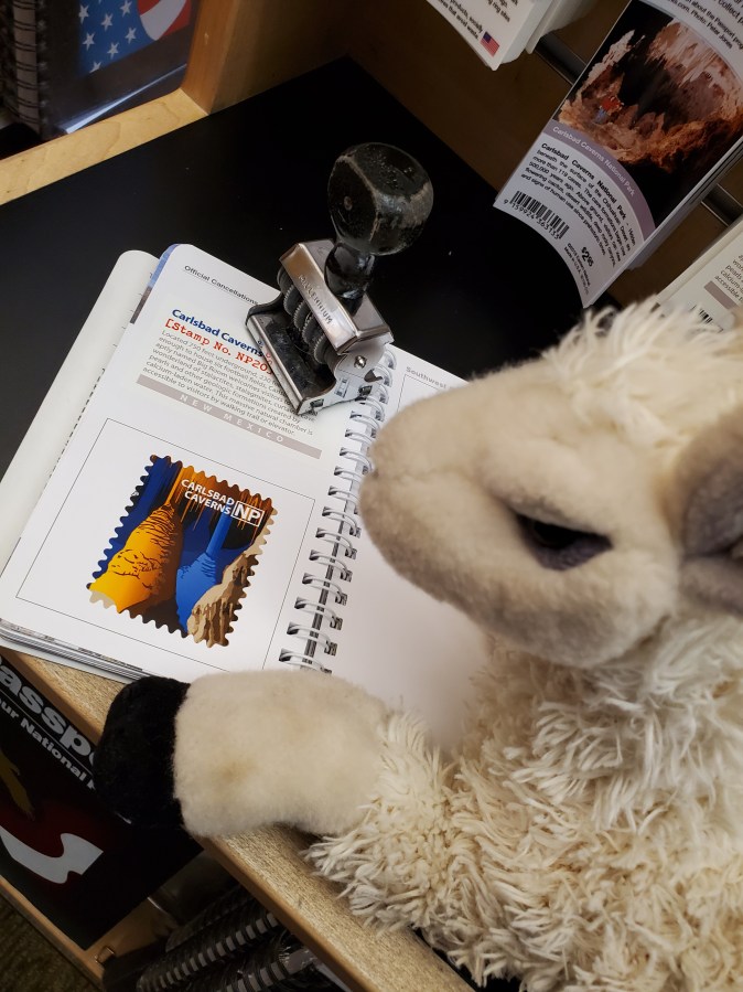 Llama went batty