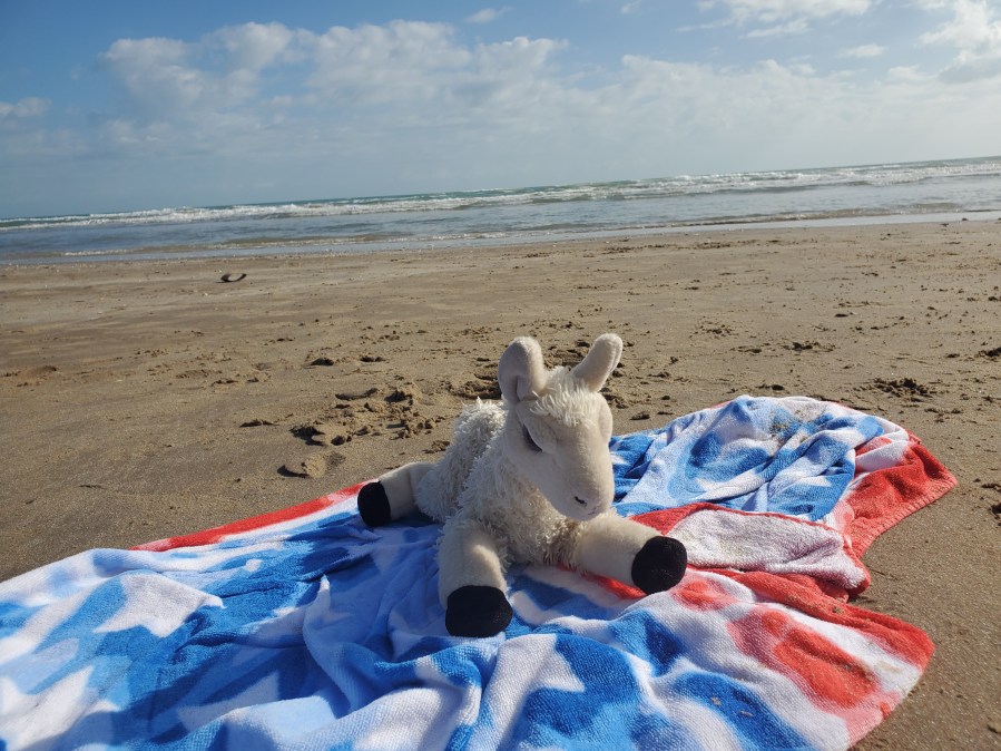 Holiday 2020 on the&nbsp;Beach