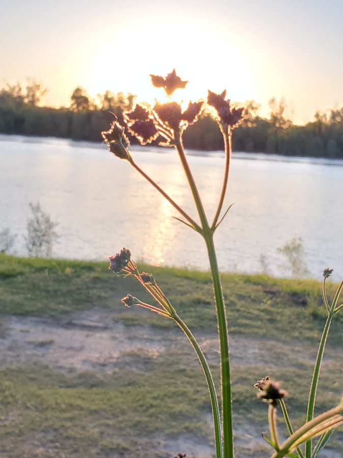 Vicksburg – just a&nbsp;touch