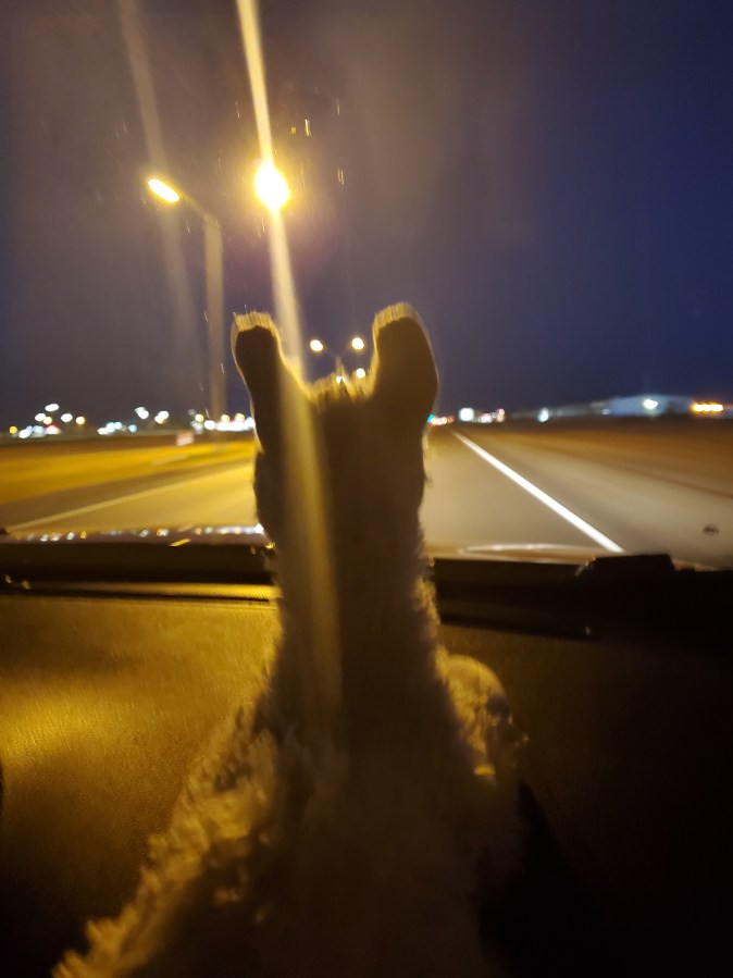Lubbock in your rear view mirror and a school&nbsp;underground
